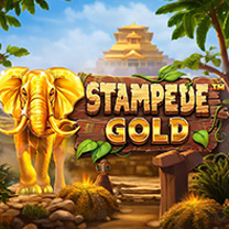BetSoft Stampede Gold Game at Wink Slots
